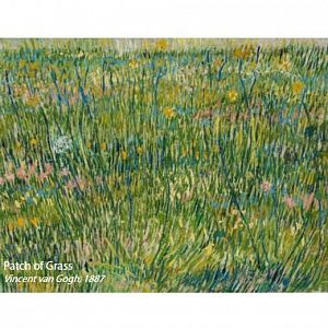 Flotex Vision Pattern  941 (Van Gogh) Patch of Grass